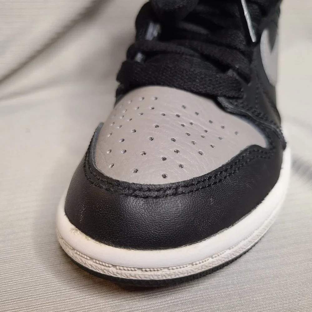 Jordan 1 Retro High Shadow (2018)